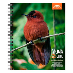 Cuaderno Universitario Artel Fauna Chilena 7Mm 105 Hojas