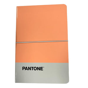 Libreta Pantone Flexible Chica